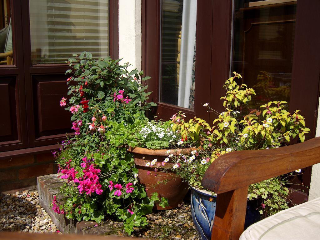 Weston Cottage Poole Esterno foto